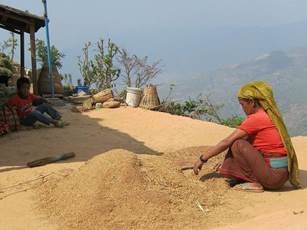 Nepalese_woman_cleaning_rise