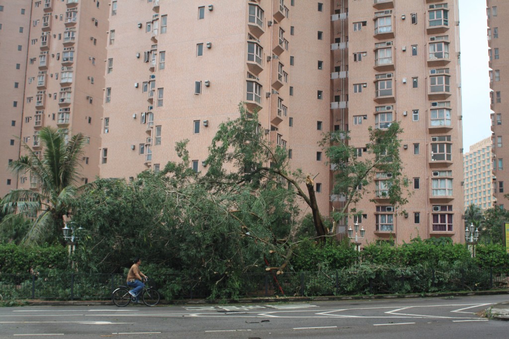 Typhoon Usagi: Hong Kong