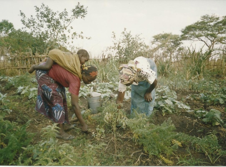 Zambia: Food security and community development