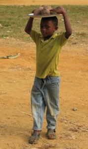 S4247 Cameroon project profile-4