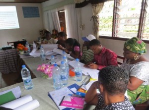 Cameroon: Care and Capacity Building for Women, Elderly and Children