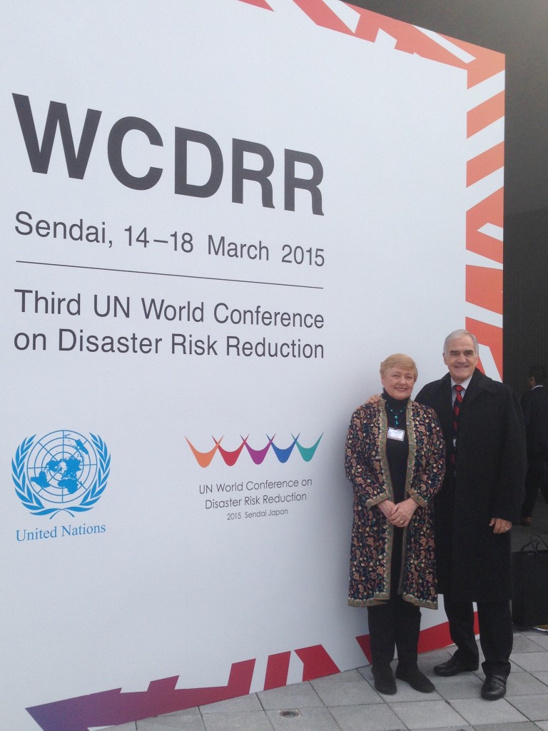 Making the world less vulnerable to disasters