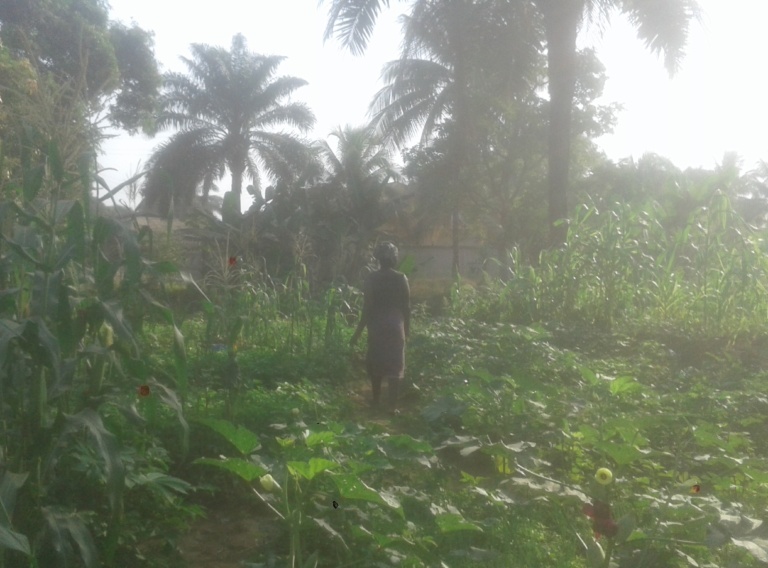 Sierra Leone: Job training for people with disabilities