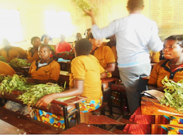 Tanzania: Empowerment through education